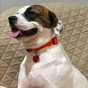 Meet your Posher, Tommy